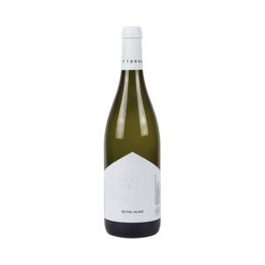 WINO WINNICA TURNAU BLANC SEYVAL